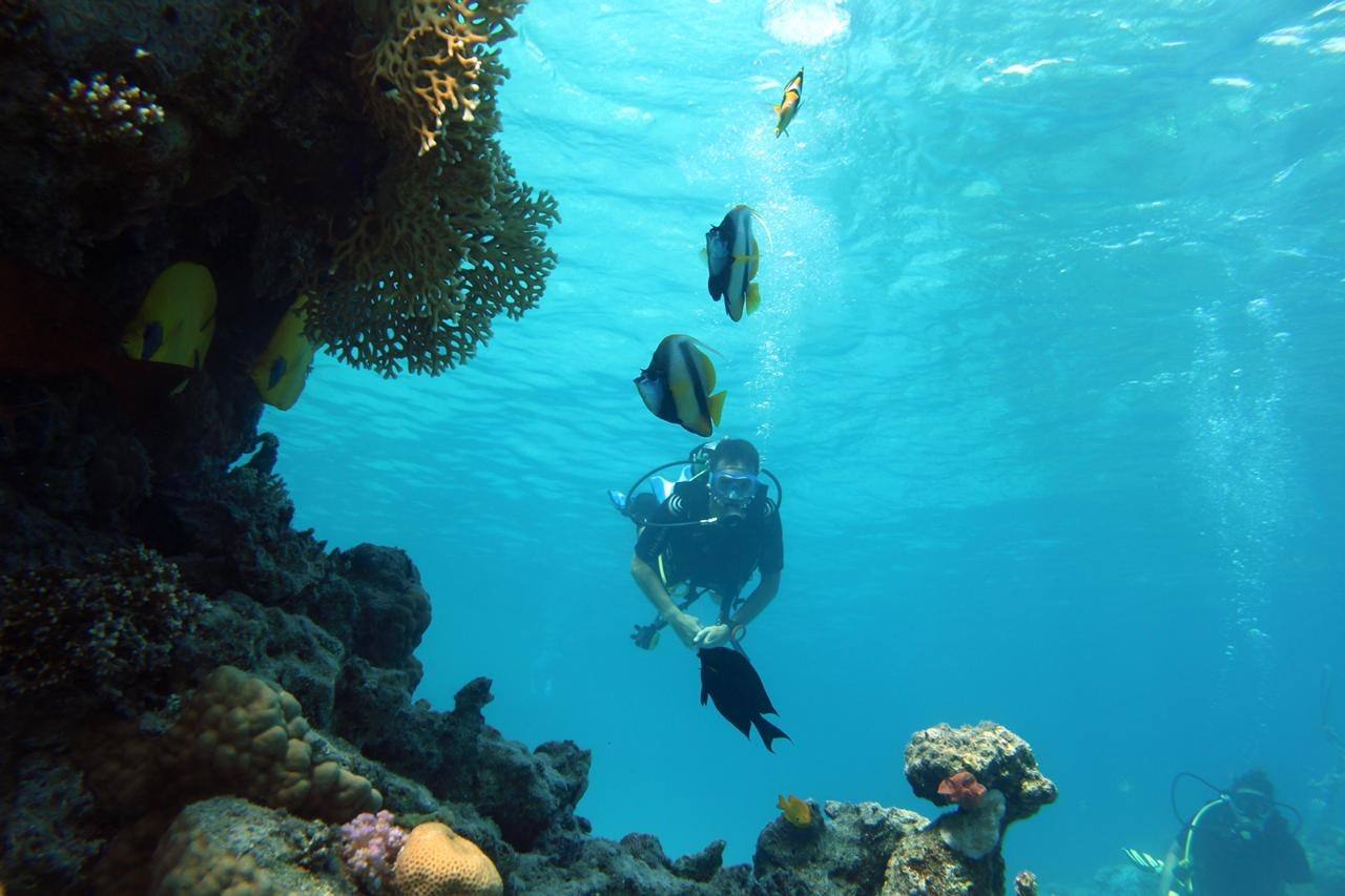 Divers descending through blue water beside the reef