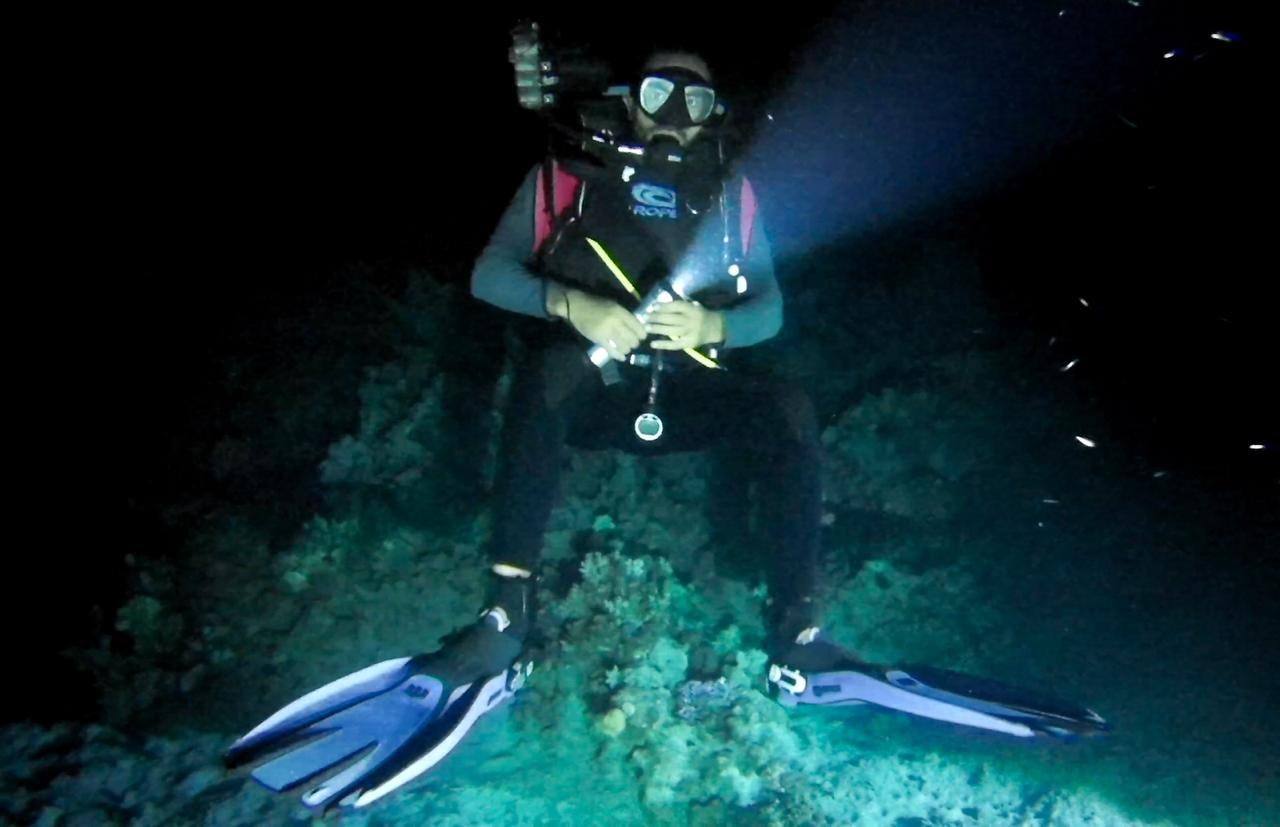 Diver with a torch on a night dive