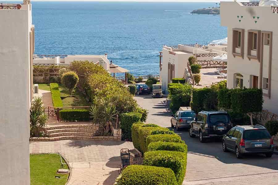 Landscaped driveway leading down towards the sea