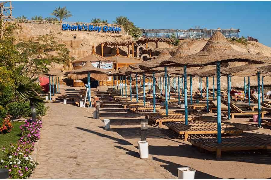 Shaded loungers on the beach terrace