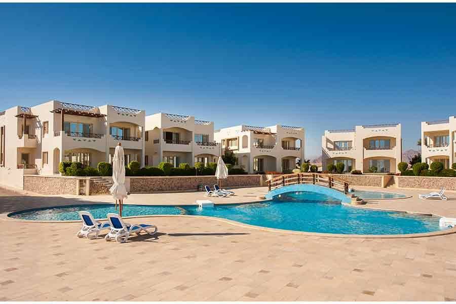 Pool terrace with loungers and umbrellas